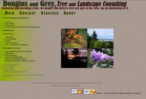 screen shot of final project for web110