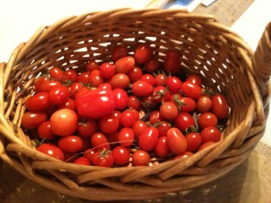 IMG_0363_2702